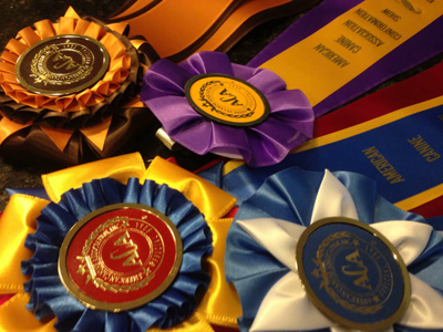 lorilee, thomas, dog, breeder, ribbons, whiting, ks, lori, lee, lorilee-thomas, usda, inspection, reports, aca, dog shows